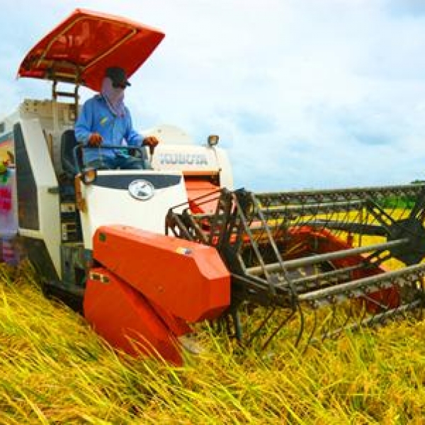 VÒNG BI KOYO CHO MÁY NÔNG NGHIỆP   