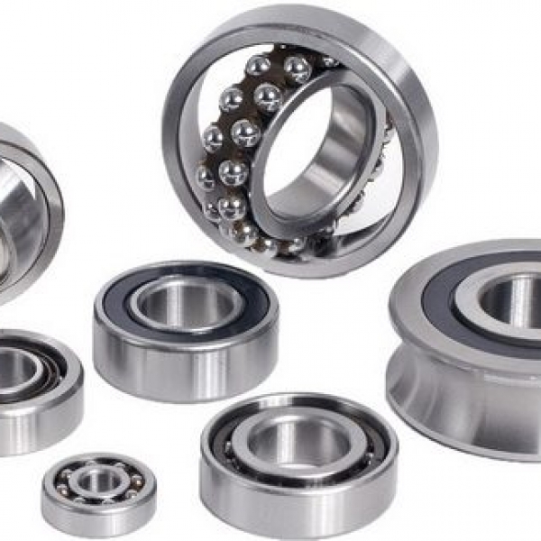 Sự khác nhau giữa vòng bi NSK và vòng bi FAG