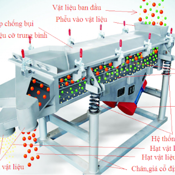 VÒNG BI MÁY SÀNG RUNG