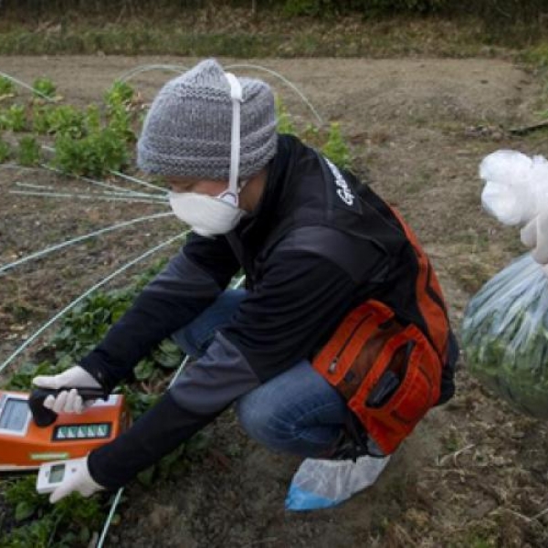 Nhật chế tạo thiết bị phân tách chất phóng xạ