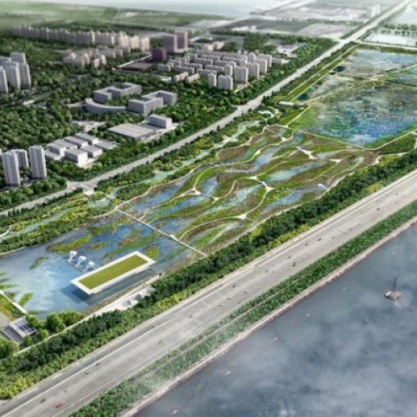 Trung Quốc xây dựng sân bay cho chim đầu tiên trên thế giới