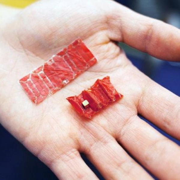 Trong tương lai gần, con người có thể ăn cả... robot