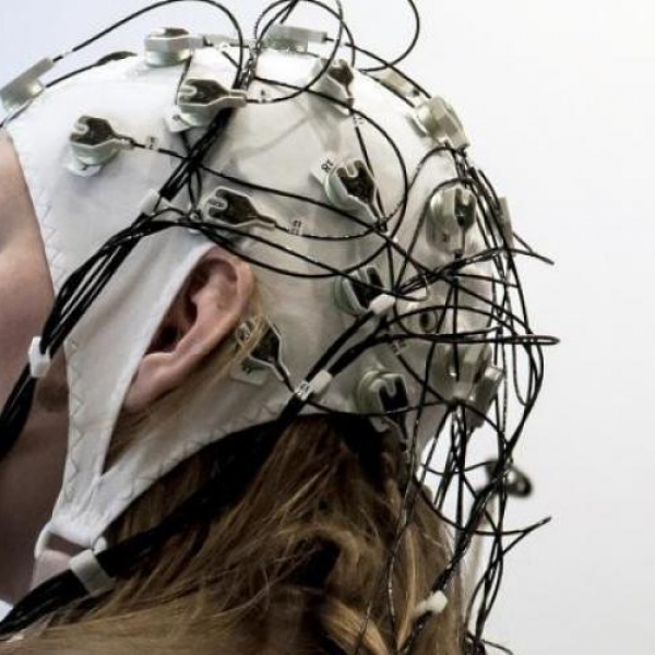 Đã có thể tải kiến thức vào não người?