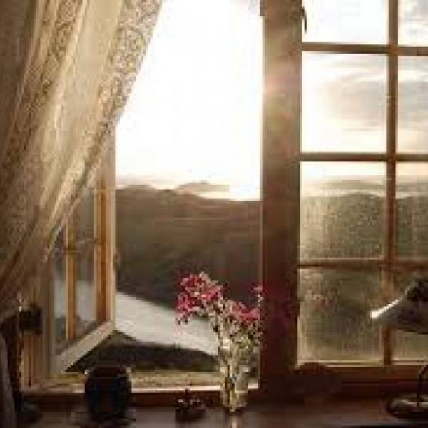 Dành 12 năm chỉ để chụp một khung cửa sổ: vật vô tri trên tường nhà hàng xóm cũng có thăng trầm của riêng nó